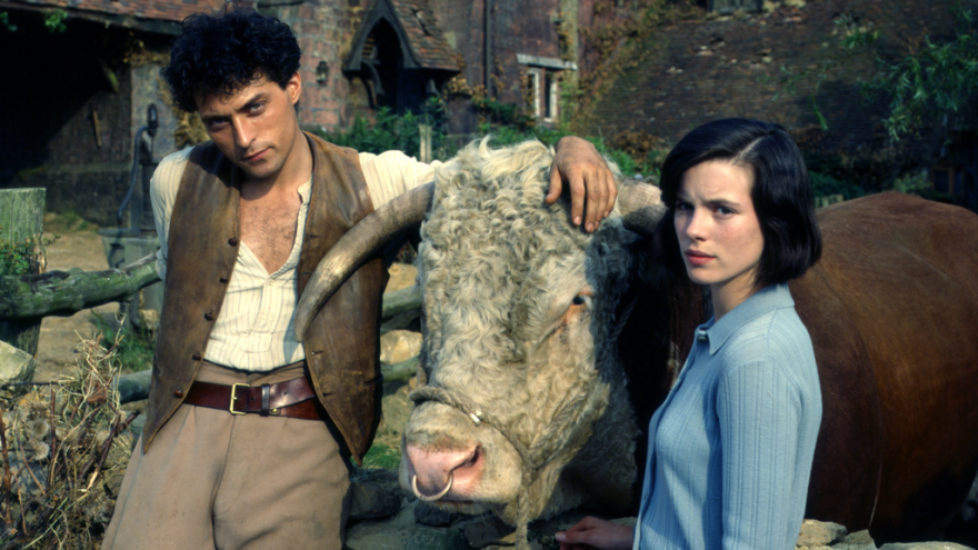 Cold comfort farm scene with seth, flora and a bull